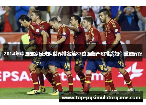 2014年中国国家足球队世界排名第87位面临严峻挑战如何重塑辉煌 2014年中国国家足球队世界排名第87位面临严峻挑战如何重塑辉煌