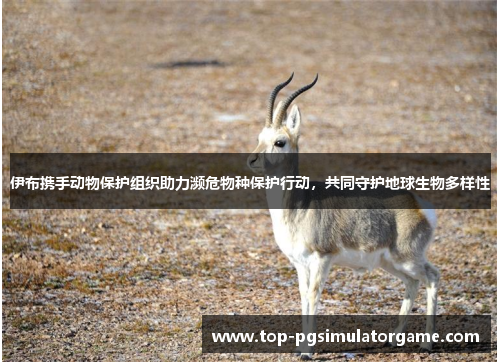 伊布携手动物保护组织助力濒危物种保护行动，共同守护地球生物多样性