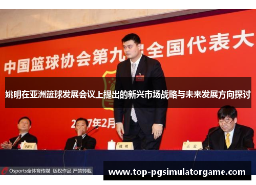 姚明在亚洲篮球发展会议上提出的新兴市场战略与未来发展方向探讨