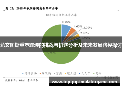 尤文图斯重塑辉煌的挑战与机遇分析及未来发展路径探讨
