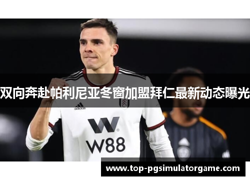 双向奔赴帕利尼亚冬窗加盟拜仁最新动态曝光