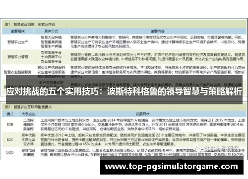 应对挑战的五个实用技巧:波斯特科格鲁的领导智慧与策略解析 应对挑战的五个实用技巧:波斯特科格鲁的领导智慧与策略解析