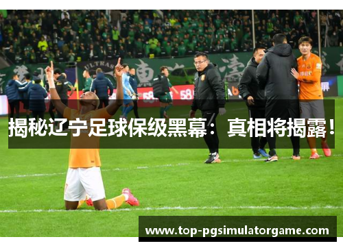 揭秘辽宁足球保级黑幕:真相将揭露! 揭秘辽宁足球保级黑幕:真相将揭露!