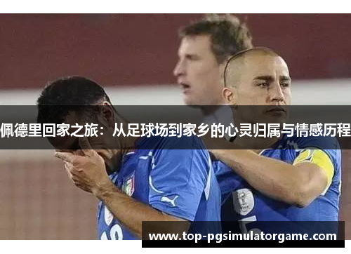佩德里回家之旅：从足球场到家乡的心灵归属与情感历程