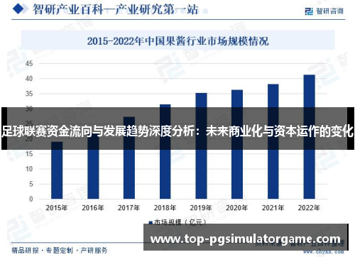 足球联赛资金流向与发展趋势深度分析：未来商业化与资本运作的变化