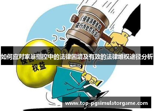 如何应对家暴指控中的法律困境及有效的法律维权途径分析