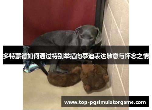 多特蒙德如何通过特别举措向泰迪表达敬意与怀念之情