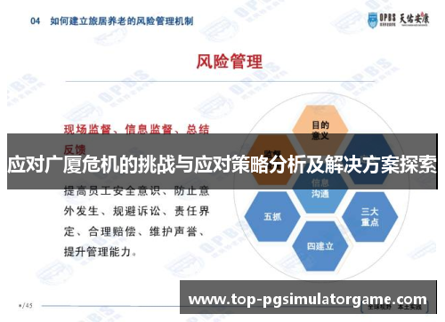 应对广厦危机的挑战与应对策略分析及解决方案探索 应对广厦危机的挑战与应对策略分析及解决方案探索