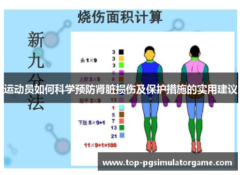 运动员如何科学预防肾脏损伤及保护措施的实用建议
