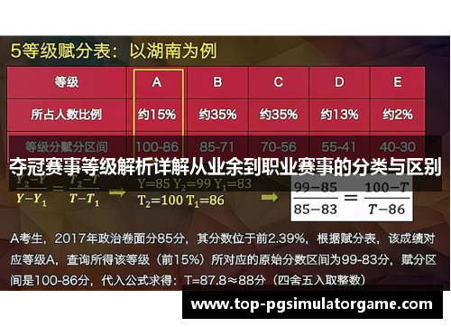 夺冠赛事等级解析详解从业余到职业赛事的分类与区别