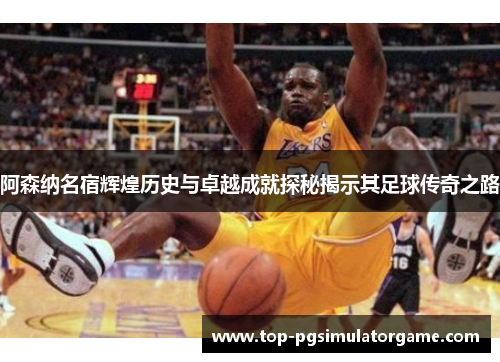 阿森纳名宿辉煌历史与卓越成就探秘揭示其足球传奇之路