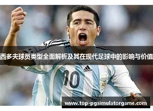 西多夫球员类型全面解析及其在现代足球中的影响与价值