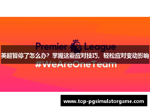 英超暂停了怎么办？掌握这些应对技巧，轻松应对变动影响