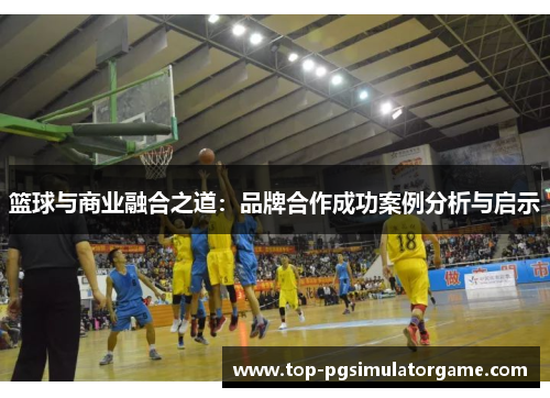 篮球与商业融合之道：品牌合作成功案例分析与启示
